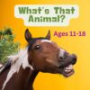 (Ages 11-18) What's That Animal & More!