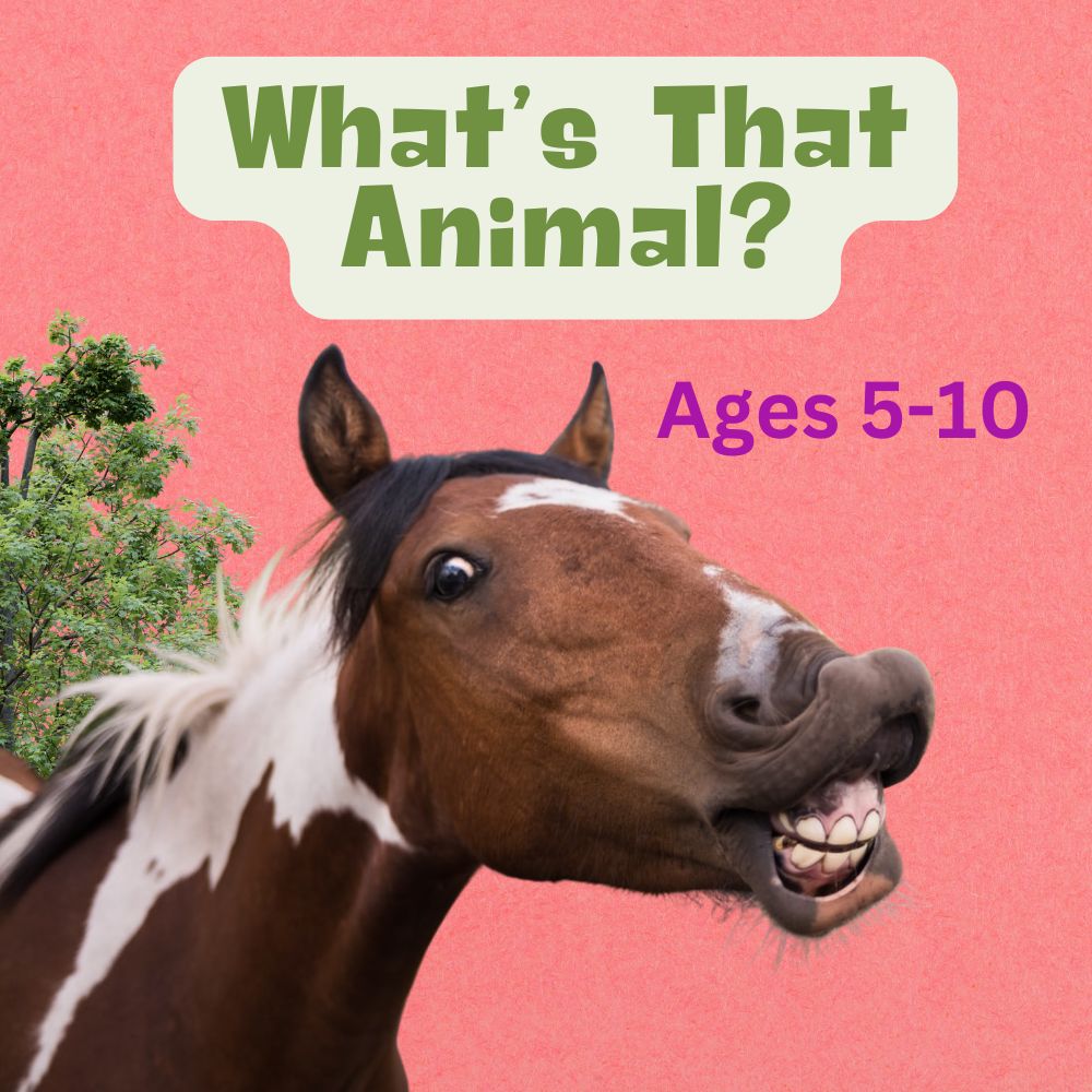 (Ages 5-10) What's That Animal & More!